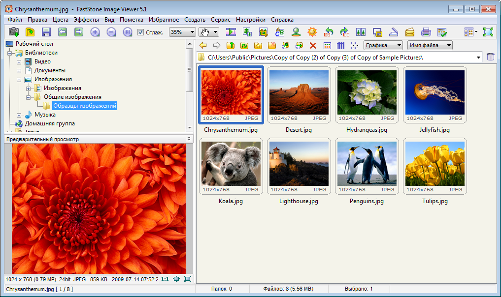 FastStone Image Viewer 7.8 download the new for apple
